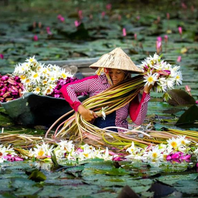 North to South Vietnam Wonders Package Tour - 7 Days